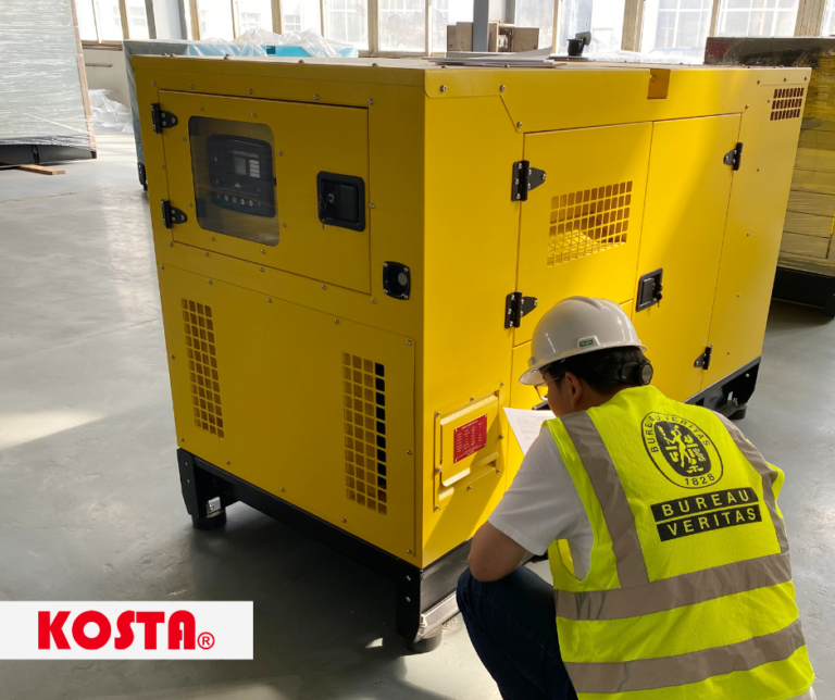 BV inspection at Kosta Factory for diesel generator set